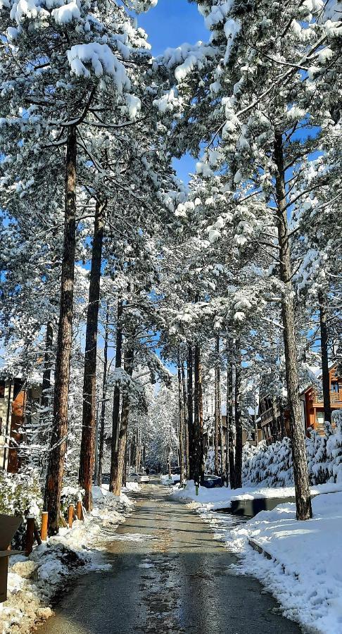 Apartment Erak Hill Zlatibor Zewnętrze zdjęcie