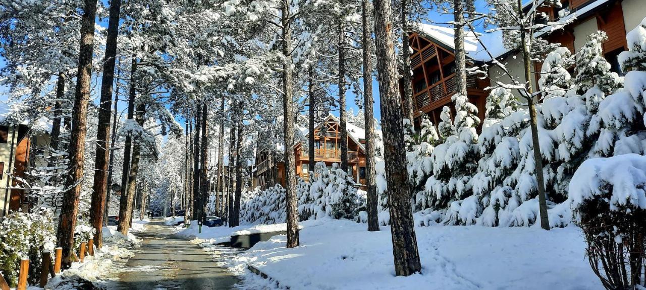 Apartment Erak Hill Zlatibor Zewnętrze zdjęcie