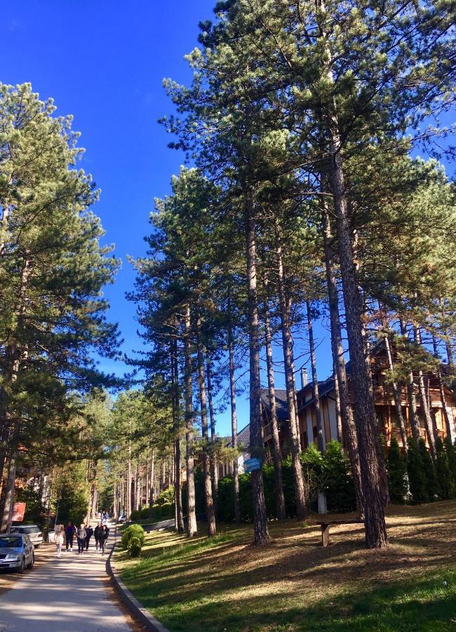 Apartment Erak Hill Zlatibor Zewnętrze zdjęcie